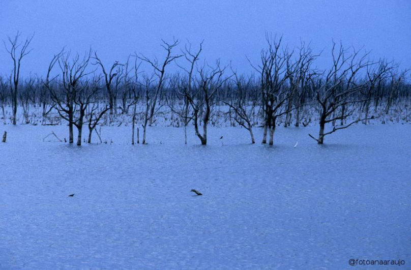 Cerrado inundado pela barragem Tocantins